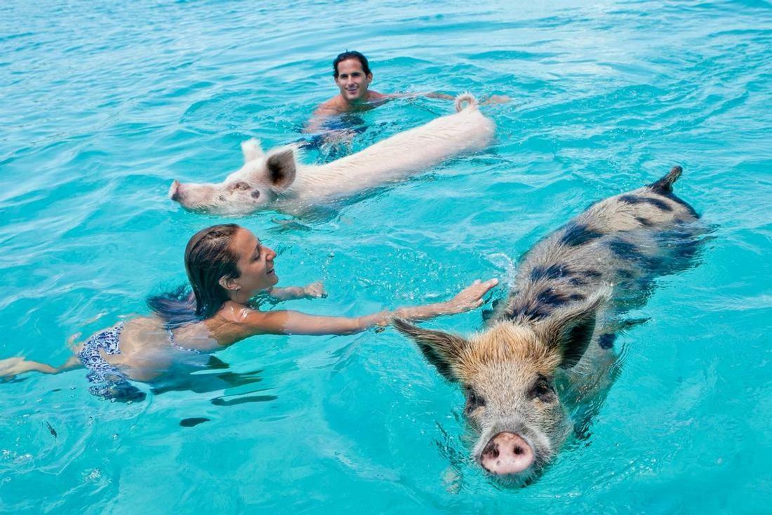 St Francis Resort جورج تاون المظهر الخارجي الصورة